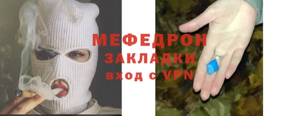 сатива Новозыбков