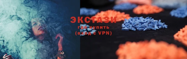сатива Новозыбков