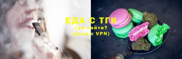 сатива Новозыбков