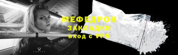 сатива Новозыбков