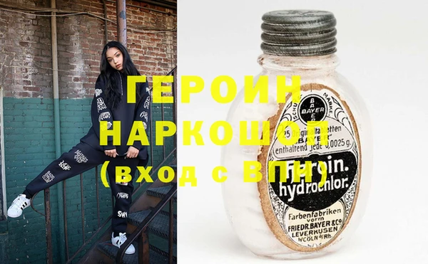 сатива Новозыбков