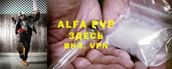 сатива Новозыбков