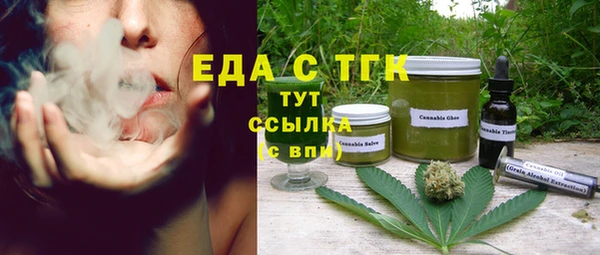 сатива Новозыбков