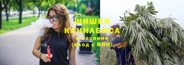 трава Новокубанск