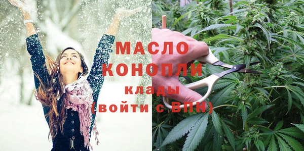сатива Новозыбков