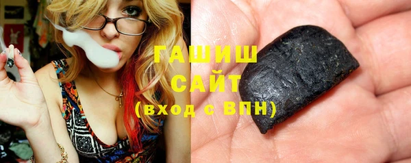сатива Новозыбков