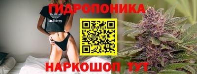 гидропоника Волжск