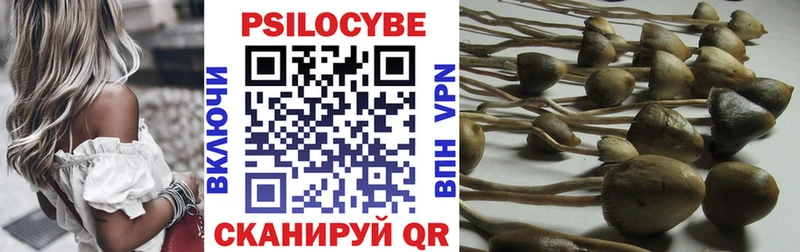купить наркотики сайты  Заволжье  Галлюциногенные грибы ЛСД 