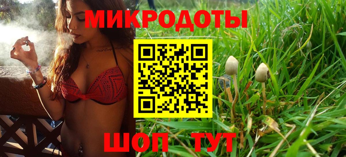 Заволжье  Псилоцибиновые грибы мухоморы  Вход с VPN 